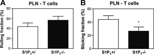 Figure 4. S1P1–/– T cells display a defect in integrin-mediated firm arrest in PLN HEVs. The intravascular behavior of calcein-labeled CD4+ SP cells from S1P1+/ or S1P1–/– FL chimeras was analyzed by IVM in inguinal LN of WT mice (n = 2 mice). (A) Rolling and (B) sticking fractions (44.1% ± 5.6% of S1P1+/ versus 26.5% ± 6.2% of S1P1–/–; *P < .05) of cells were determined in venular orders III, IV, and V. Error bars indicate SEM.