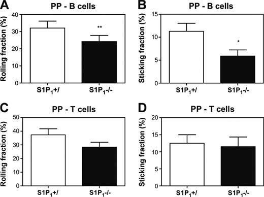 Figure 5. S1P1–/– B cells but not S1P1–/– T cells display a defect in integrin-mediated firm arrest in PP HEVs. (A-B) The intravascular behavior of calcein-labeled B cells from S1P1+/ or S1P1–/– FL chimeras was analyzed by IVM in PP HEVs (n = 3 mice). (A) Rolling (32.1% ± 4.1% of S1P1+/ versus 24.2% ± 3.6% of S1P1–/–; **P < .01) and (B) sticking fractions (11.3% ± 1.8% of S1P1+/ versus 5.9% ± 1.3% of S1P1–/–;* P < .05). (C-D) Calcein-labeled CD4+ SP cells from S1P1+/ or S1P1–/– FL chimeras were analyzed by IVM in PP HEVs (n = 3 mice). No difference was observed in (C) rolling (37.4% ± 4.4% of S1P1+/ versus 28.4% ± 3.5% of S1P1–/–) and (D) sticking fractions (12.5% ± 2.5% of S1P1+/ versus 11.5% ± 2.8% of S1P1–/–). Error bars indicate SEM.