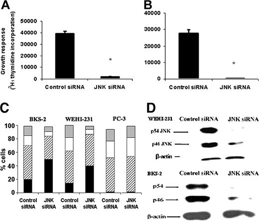 Figure 5. Effects of JNK-specific siRNA on basal proliferation and survival of B-lymphoma cells. (A) BKS-2 or (B) WEHI-231 B-lymphoma cells were cotransfected with the GFP plasmid and siRNA (control or JNK specific). Three days later, GFP+ cells were sorted by FACS and proliferation assay was performed as described in “Materials and methods.” Results are presented as means ± SE of triplicate cultures. (C) Hoechst analysis of GFP+ BKS-2 and WEHI-231 B-lymphoma cells or prostate cancer cells PC-3 cotransfected with control or JNK-specific siRNA. ▦ indicates G2/M; □, S; ▨, G1; and ▪, sub-G1. (D) Western analysis of lysates from control or JNK-specific siRNA-treated WEHI-231 (top) and BKS-2 cells (bottom) by an antibody to JNK. The blots were then stripped and reprobed for β-actin as a loading control. Results are representative of 2 to 3 experiments. *P < .001 when response with JNK siRNA is compared with control siRNA.