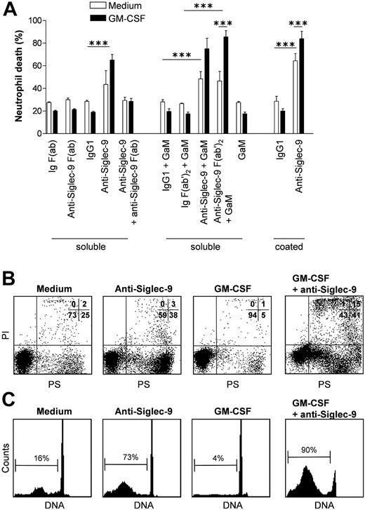 Figure 3. Cross-linking of Siglec-9 using different techniques excludes the possibility of nonspecific death effects. (A) F(ab')2 fragments of the anti-Siglec-9 mAb and intact mAb revealed same results. Cross-linking by a plate-bound primary anti-Siglec-9 mAb also resulted in neutrophil death. GM-CSF was under these 3 different conditions always an efficient death sensitizer. F(ab) fragments of the anti-Siglec-9 mAb had no cytotoxic effect. Moreover, preincubation of F(ab) fragments of the anti-Siglec-9 mAb prevented neutrophil death induced by the intact mAb both in the presence and absence of GM-CSF. Results of 20-hour cultures are shown (n = 4). ***P < .001. Data in panel A are expressed as means ± SEM. (B,C) Anti-Siglec-9 mAb stimulation in the absence of GM-CSF-induced PS redistribution (9-hour cultures) and DNA fragmentation (13-hour cultures) indicative for the induction of neutrophil apoptosis. In presence of GM-CSF, Siglec-9 ligation resulted in even more DNA fragmentation, but an abnormal subpopulation of neutrophils with low annexin-binding capacity was observed. These panels show one representative experiment out of 5. In panel B, quantitative analysis is shown in percent at the top right corner of each dot plot. In panel C, the relative number of apoptotic cells is indicated by the bracket in each subpanel.