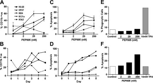Figure 1. PEP005 induces apoptosis and differentiation in leukemic cell lines. There were 5 leukemic cell lines treated with PEP005 for 5 days. (A-B) Differentiation was assessed by expression of CD11b and (C-D) apoptosis was assessed by entry of cells into a subdiploid phase. Differentiation and apoptosis were also measured in response to PEP005 and PMA after 3 days by assessing phagocytosis of yeast (E) and caspase-3 activity (F). Data in panels A and E are expressed as mean ± standard deviation.