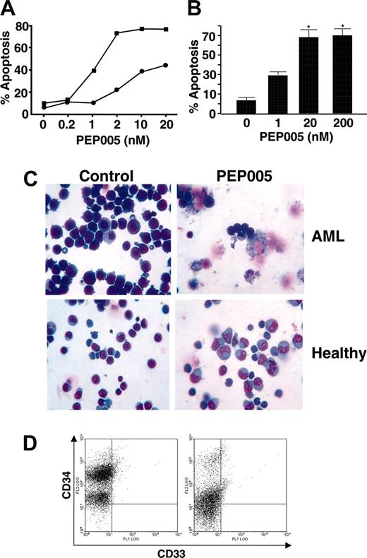 Figure 3. PEP005 induces apoptosis in primary AML marrow blasts but not in normal myeloblasts. (A) PEP005 induced apoptosis in a primary AML cell culture. Apoptosis was determined by appearance of a subdiploid peak (▪) or active caspase-3 (•). (B) Meaned data for apoptosis induction by PEP005 in 7 primary AML samples. Data are mean ± SD. *P < .01 compared with non-parallel-treated controls. (C) Morphology on cytospins of example AML and nonmalignant CD34+ myeloblasts from cord blood after treatment with 20 nM PEP005 and 200 nM PEP005, respectively. Differential staining showed that normal myeloblasts did not enter apoptosis, but when exposed to higher concentrations of PEP005 had a more differentiated phenotype. (D) An example of a FACS plot of nonmalignant myeloblasts treated with PEP005, showing reduced CD34 staining indicative of differentiation.