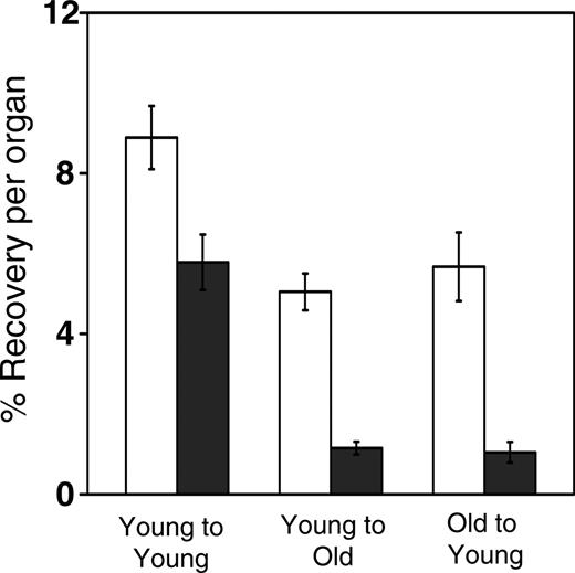 Figure 1. Reduced homing capacity of HPCs with donor and recipient age. Lethally irradiated young or old Ly-5.1 mice were injected with 2 × 106 old or young Ly-5.2 donor cells. Three hours later, HPCs that had homed to the BM (□) or spleen (▪) were measured by hematopoietic colony formation in vitro. Shown are the mean (± SEM) percentages of donor-derived HPCs recovered per organ, relative to numbers injected. Data are pooled from 3 independent experiments with 3 to 5 mice per group. Differences between young cells injected into young recipients and either young cells transplanted into old recipients or old cells transplanted into young recipients are significant (P < .05).