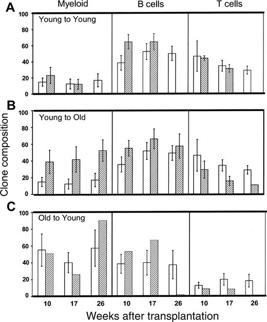 Figure 5. Effect of aging and transplantation on the differentiation potential of CRUs. Mice that had been repopulated with a single, fresh (□) or homed (▨) CRU were identified as described in the Figure 4 legend and in “Materials and methods.” The lineage composition of clones generated by single, young, or old HSCs in old or young hosts was defined as the proportion of donor (Ly-5.2+)-derived leukocytes expressing markers for B (CD45R/B220+) or T (CD90/Thy-1.2+) lymphocytes or for myeloid (Gr-1/Ly6G+ and Mac-1/CD11b+) cells. Values shown for the 3 combinations of variably aged donors and recipients represent the mean ± SEM of 2 pooled experiments with 3 to 6 mice per group. Note that data for the young-to-young group were collected contemporaneously with those for other groups but were, in part, reported in Szilvassy et al.23