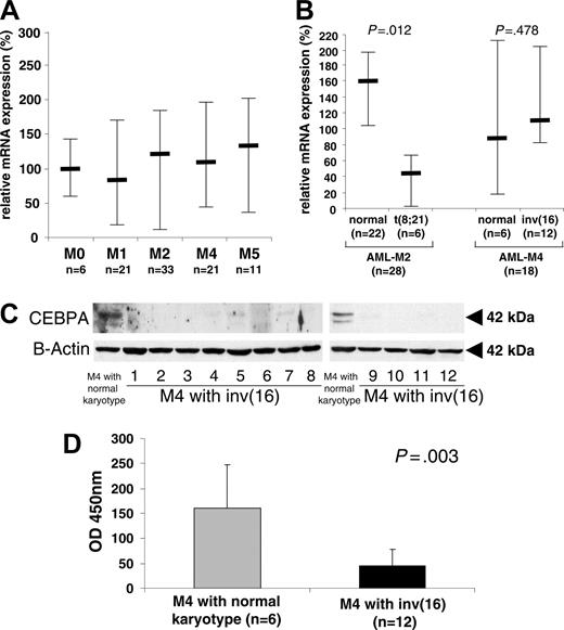 Figure 3. CEBPA protein is specifically suppressed in AML-M4 patients with CBFB-SMMHC. (A) Ninety-two patients with AML of all subtypes were analyzed for CEBPA mRNA expression by quantitative RT-PCR. Differences among subtypes were not significant (P = .327). Mean values and standard deviation (error bars) are depicted. (B) Subgroup analysis using quantitative RT-PCR analysis of CEBPA mRNA levels from AML-M4Eo with CBFB-SMMHC (n = 12) and AML-M4 with a normal karyotype (n = 6). The n-fold expression levels were calculated. Mean values and SDs are shown. The difference between AML-M4Eo and normal karyotype AML-M4 was not significant (P = .478). In addition, AML-M2 patients with the AML1-ETO rearrangement were compared to AML-M2 patients with a normal karyotype. This difference was significant (P = .012). (C) Whole-cell lysates of 12 AML-M4Eo CBFB-SMMHC patient samples (lanes 1-8 and 9-12) and of 2 AML-M4 patients with a normal karyotype (first lane in left and right panels) were subjected to Western blotting with a CEBPA antibody (top blots). None of the samples from the AML-M4 patients with inv(16) had detectable CEBPA protein. Eleven patients with AML-M4 and normal karyotypes were tested, with 6 having high expression as shown in the first lane of the 2 panels, 3 having weak CEBPA expression, and 2 having no detectable CEBPA protein. The same membrane was subsequently incubated with an antibody against β-actin for control of loading and integrity (bottom blots). (D) CEBPA-binding activity was measured using the Transam assay. Mean values and SDs are shown. OD indicates spectophotometric result at 450 nm wavelength.