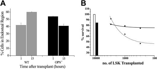 Figure 2. Opn plays a key role in the TMM and lodgment of HSCs in the endosteal marrow region and hematopoietic reconstitution. (A) Compared with transplants of HSCs into a wt microenvironment (▦), there was no evidence of TMM toward the endosteal region in an Opn–/– microenvironment (▪). Conversely, there was evidence of significant TMM toward the central region (P < .005), which resulted in significantly fewer cells lodging in the endosteal region 15 hours after transplantation compared with wt controls (P < .01). Data are the mean ± SEM of between 5 and 6 individual mice. (B) Comparison of hematopoietic regeneration and survival out to 3 weeks following myeloablation in wt and Opn–/– mice that received transplants with limiting numbers of wt LSK BM cells (solid bar and ▪ versus open bar and ▴, respectively). Data are the mean of between 12 and 19 recipients from 3 individual experiments.