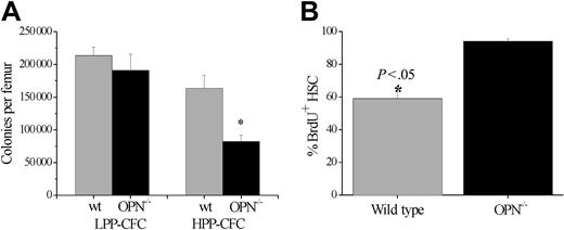 Figure 3. In vivo Opn is involved in the regulation of HSC proliferation. (A) BM was analyzed for progenitor cell content using an in vitro colony-forming assay 3 days after 5FU cytotoxic challenge. There was a significant reduction in the number of cells with HPP-CFC in the presence of 4 stimulatory growth factors from an Opn–/– microenvironment (▪) compared with wt controls (▦). Data are the mean ± SEM of triplicate plates from 3 individual mice in 2 independent experiments. *P < .05. Furthermore, HSCs (LSK cells) cycle significantly faster in the absence of Opn in the hematopoietic microenvironment (B). Compared with HSCs isolated from a wt microenvironment (▦), significantly more HSCs isolated from an Opn–/– microenvironment (▪) had undergone cell cycle and incorporated BrdU after 4 weeks of continual oral administration. Data are the mean ± SEM of 3 individual mice from 2 independent experiments. *P < .05.