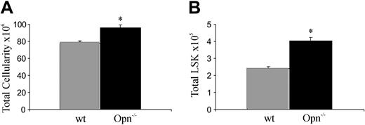 Figure 4. In vivo, the absence of Opn in the microenvironment results in a significant increase in HSCs and consequently total BM cellularity. (A) Compared with wt controls Opn–/– mice had a significant increase in total marrow cellularity. *P = .003. (B) In addition, there is also a significant increase in the number of LSK cells present in the BM. *P < .001. Data are the mean ± SEM of femurs, tibias, and iliac crests from 5 mice.