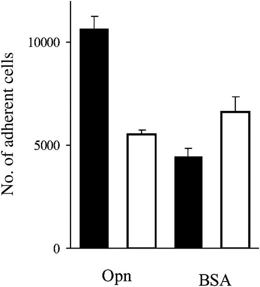 Figure 5. Adhesion of CD34+ cells to immobilized Opn is specifically mediated by β1 integrin. Calcein-AM–labeled BM CD34+ cells were assayed for their ability to attach to GST fusion–tagged full-length human Opn (▪). The ability of β1 integrin to mediate this process was analyzed by preincubating the cells in the specific β1 integrin–blocking antibody P5D2 prior to being deposited in the wells (□). Data are the mean ± SEM of triplicate wells representing 3 independent experiments.