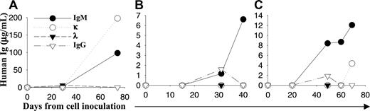 Figure 1. Engraftment of primary patient WM cells in SCID-hu mice. Blood was collected from mouse tail vein at different time points following inoculation of tumor cells directly in the human fetal bone chips, and sera were serially tested for circulating human IgM, IgG, and κ and λ chain by ELISA. The results demonstrate the appearance and increase in paraprotein, human IgM and/or light chain, in 3 representative SCID-hu mice, respectively, injected with patient IgMκ, IgMλ, and IgMκ WM cells. Panels A and B refer to mice injected with 5 and 10 × 106 BM cells, respectively, and panel C refers to a mouse injected with 2 × 106 CD19+-sorted cells.