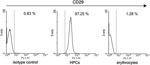 Figure 3. Beta-1 integrin (CD29) expression on HPCs and erythrocytes. CD29 expression of freshly isolated HPCs (middle) and erythrocytes (right) was determined by FACS analysis. 20 000 cells were analyzed and the number of CD29+ cells is given as the percentage of the total number of cells. All stainings were referred to isotype-matched control antibodies (left). Cells expressing CD29 are given right of the dotted line (upper fluorescence limit of isotype control).