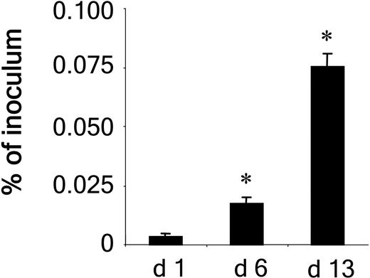 Figure 6. Quantification of intracellular B henselae in erythroid differentiating HPCs. Freshly isolated HPCs were infected with B henselae (MOI 100) and gentamicin protection assays were performed on days 1, 6, and 13 after infection. The number of intracellular bacteria (% of inoculum) was calculated by counting the CFUs on CBA after 3 weeks of incubation. *Significant difference compared with day1(P < .01).