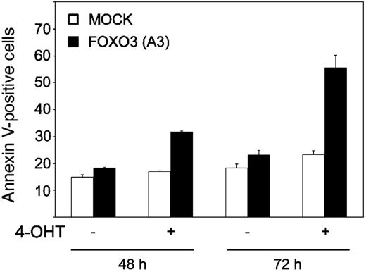 Figure 6. Expression of FOXO3(A3) suppresses SCF-mediated mast cell survival. BMCMCs were infected with a retrovirus encoding a dominant-active mutant of FOXO3(A3):ER (▪) and were then either left untreated (–) or incubated with 4-OHT (+) in the presence of SCF for 48 or 72 hours, respectively. Cell viability was analyzed by annexin V staining and flow cytometry. As a control, mock-infected cells (□) carrying the puromycin gene only were treated with 4-OHT. The experiment was repeated 3 times, and the data shown correspond to 1 representative experiment in duplicate (mean ± SEM).