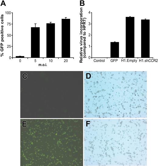 Figure 3. Efficient transduction of bone marrow cells using GFP lentivirus. (A) Transduction of whole bone marrow with GFP lentivirus led to a titer-dependent increase in percentage of GFP-expressing cells. (B) Virus particle incorporation in bone marrow cells compared with HPRT of untransduced control cells and 24 hours after transduction with GFP-, H1.Empty-, or H1.shCCR2-lentivirus. Error bars in panels A and B represent SEM. (C,D) Fluorescence and light microscopic high-power field, respectively, of a white blood cell cytospin from control mice 6 weeks after transplantation of nontransduced bone marrow (original magnification, ×200). (E,F) White blood cells from mice that underwent transplantation with lentiviral GFP-transduced bone marrow show approximately 90% GFP-positive cells (panel E; original magnification, ×200), indicating that transplantation of lentivirus-transduced bone marrow results in sustained transgene expression by blood cells. Images were captured with a Leica DR-ME microscope equipped with a 20× objective lens and a 10× ocular lens, and Leica QWin software (Leica Imaging Systems) was used.