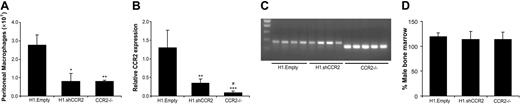 Figure 4. Lentiviral shCCR2 results in reduced macrophage influx due to reduced CCR2 expression. (A) Macrophage recruitment to the peritoneum in mice that underwent transplantation with H1.shCCR2 lentivirus–transduced bone marrow is significantly reduced compared with those that received H1.Empty lentivirus–transduced bone marrow. Recruitment levels were found to be similar to control mice that underwent transplantation with Ccr2–/– bone marrow (*P < .05, **P < .01). (B) CCR2 mRNA expression level in peritoneal macrophages of mice that underwent transplantation with H1.shCCR2-transduced bone marrow was reduced 7 weeks after transplantation (**P < .01, ***P < .001 compared with H1.Empty; #P < .01 compared with H1.shCCR2). (C) Ccr2 genotyping of transplanted C57Bl/6 mice, revealing a 360–base pair amplicon of wild-type Ccr2 in mice that underwent transplantation with H1.Empty- or H1.shCCR2 lentivirus–transduced bone marrow and the 290–base pair amplicon was observed in mice that underwent transplantation with Ccr2–/– bone marrow. (D) Percent male bone marrow in bone marrow cell lysates from recipient mice, determined by PCR analysis on the Sry gene, located on the Y-chromosome. Error bars in panels A, B, and C represent SEM.