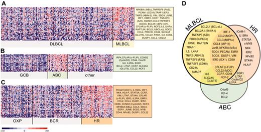 Figure 3. Differential expression of NFκB target genes in large B-cell lymphoma subtypes. NFκB target genes that met the 99th percentile of the permutation distribution and exhibited a 30% or more difference in median expression values were considered to be differentially expressed. Differentially expressed NFκB target genes in (A) primary MLBCL versus DLBCL; (B) ABC-like DLBCLs versus GCB-like and other DLBCLs; and (C) HR DLBCLs versus OxPhos and BCR/proliferation DLBCLs. (D) Comparison of the NFκB target gene signatures from primary MLBCL, HR DLBCLs, and ABC-like DLBCLs.