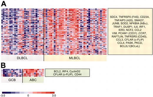 Figure 4. Differential expression of NFκB target genes in an independent series of primary MLBCLs and DLBCLs. The independent data set includes all primary MLBCLs (38 tumors) and DLBCLs (26 tumors: 13 GC-type and 13 ABC-like) that were made available at the NIH Lymphoma/Leukemia Molecular Profiling Project website.27 Differentially expressed NFκB target genes were defined as in Figure 3. (A) MLBCLs versus DLBCLs. This independent series of primary MLBCLs had significantly higher expression of 79% (26/33) of the NFκB target genes that were identified in our series and represented on both platforms; and (B) GC-type versus ABC-like DLBCLs.