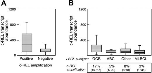 Figure 5. cREL amplification and transcript abundance in large B-cell lymphoma subtypes. (A) c-REL transcript abundance in primary DLBCLs with an amplified cREL locus (positive, 15/127 examined tumors) or no cREL amplification (negative, 112/127 examined tumors). (B) c-REL transcript abundance and cREL amplification in DLBCLs arranged by cell of origin (GCB, ABC, and other) and primary MLBCL. Error bars indicate the standard deviation within triplicate experiments.