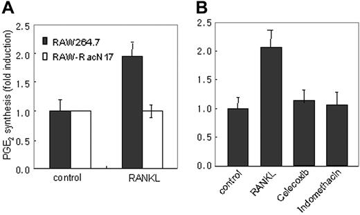 Figure 3. RANKL-stimulated PGE2 secretion is compromised in RAW-RacN17 cells. (A) RAW264.7 cells and RAW-RacN17 cells were stimulated with or without RANKL (50 ng/mL) for 8 hours. Culture supernatants were collected and PGE2 concentration was measured as described in “Materials and methods.” Unstimulated cultures from RAW264.7 and RAW-RacN17 cells secreted similar levels of PGE2. PGE2 levels produced by unstimulated cells were given the arbitrary value of 1. Data are expressed as mean (± SD) of triplicates. Similar results were obtained in 2 additional experiments. (B) RAW264.7 cells were pretreated for 30 minutes with indomethacin (10 μM) and celecoxib (100 ng/mL) and stimulated with RANKL for 8 hours. PGE2 levels were measured as described in panel A. Data are expressed as mean (±SD) of triplicates.