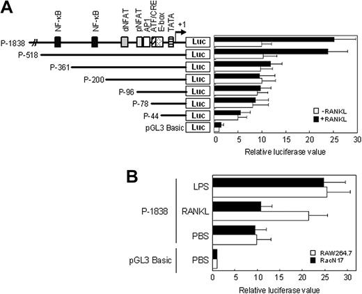 Figure 4. Analysis of the region responsible for the promoter activity of COX-2 gene in response to RANKL stimulation. (A) Putative consensus sequences in the 5′-flanking region of human COX-2 gene are illustrated in the upper left. Each deleted promoter fragment was inserted into a pGL3-basic luciferase (Luc) vector. Numbers indicate distance in base pairs from the start site of transcription. RAW264.7 cells were transiently transfected with these plasmids along with β-galactosidase plasmid. The transfected cells were stimulated with RANKL (50 ng/mL) for 6 hours, and then the activities of luciferase and β-galactosidase were measured. The normalized luciferase activities in the cells transfected with various reporter plasmids are presented as the fold induction calculated by dividing the relative luciferase value (RLV) of a given culture by the RLV of the pGL3-basic control. Data are expressed as mean (± SD) of triplicates. NFAT indicates nuclear factor of activated T cells; API, activator protein 1; ATF, activating transcription factor; CRE, cyclic adenosine monophosphate (cAMP)–responsive element; TATA, TATA box. (B) As described in panel A, except that RAW264.7 cells and RAW-RacN17 cells were transfected with the reporter plasmid P-1838 and stimulated with RANKL (50 ng/mL) and LPS (1μg/mL), respectively. PBS indicates phosphate-buffered saline used for a control. Data are expressed as mean (±SD) of triplicates.