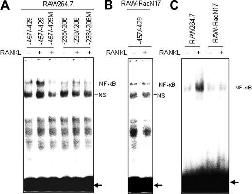 Figure 5. EMSA targeting NF-κB sites. (A) Nuclear extracts from RAW264.7 cells stimulated with RANKL (50 ng/mL) for 15 minutes were analyzed by EMSA. Gel shift assays were performed using oligonucleotides corresponding to the COX-2 distal NF-κB site (nucleotides –457/–429) and the COX-2 proximal site (nucleotides –233/–206). The COX-2 distal site (nucleotides –457/–429) probe containing a mutation in NF-κB element abolished the complex formation. (B) As described in panel A, except that nuclear extracts were prepared from RAW-RacN17 cells. Gel shift assays were performed using oligonucleotides corresponding to the COX-2 distal NF-κB site (nucleotides –457/–429). (C) Gel shift assays were performed using oligonucleotides containing the 2 tandemly repeated NF-κB sites derived from the HIV long terminal repeat. NS indicates a nonspecific protein complex. The arrows point to free probes. Similar results were obtained in 2 additional experiments.