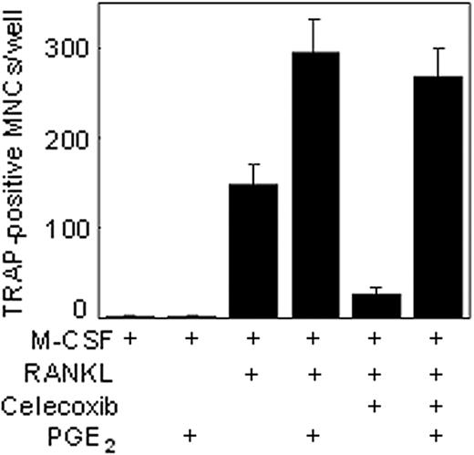 Figure 7. Exogenous PGE2 reversed the inhibitory effects of celecoxib. BMMs were pretreated with celecoxib (50 ng/mL) and PGE2 either alone or in combination as indicated and then stimulated with RANKL. On day 5, the cells were fixed and stained for TRAP as described in “Materials and methods.” Similar results were obtained in 2 additional experiments.