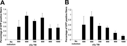 Figure 4. Increasing the dose of total body radiation does not increase marrow-to-muscle conversion. One month after transplantation of GFP-positive marrow cells and cardiotoxin injury of tibialis anterior muscle, the percentage of GFP-positive muscle fibers was evaluated. (A-B) Each bar shows average ± standard error from 5 to 6 animals from 2 separate experiments. (B) The percentage of GFP-positive muscle fibers were corrected for muscle weight (see “Materials and methods”).