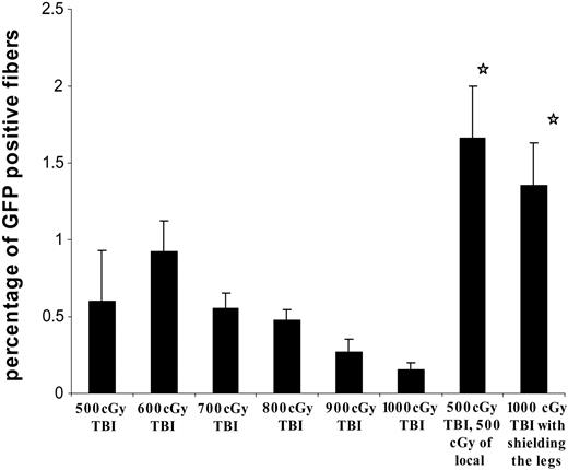 Figure 6. The best dose of radiation for marrow-to-muscle conversion. The pooled result is shown for corrected conversion percentage of marrow-to-muscle fibers based on muscle weight after different doses or combination of radiation. Each bar shows average ± standard error from 5 to 6 animals from 2 separate experiments. *P < .05, comparing these 2 groups with the group that received 1000 cGy TBI.