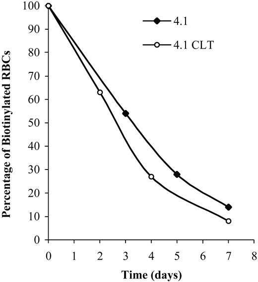 Figure 4. Effects of CLT administration on erythrocyte lifespan for 4.1-/- mice. Compared with healthy controls, 4.1-/- erythrocytes have a markedly reduced half-life.20 Mice were treated with CLT at a dose of 80 mg/kg twice a day for 11 days. Biotinylation was carried out as described in “Materials and methods,” and animals were bled at specified times. The percentage of biotinylated erythrocytes was determined by flow cytometry and is shown here for 2 representative animals. Data were obtained from 3 untreated and 4 CLT-treated 4.1-/- mice (7 days of treatment).