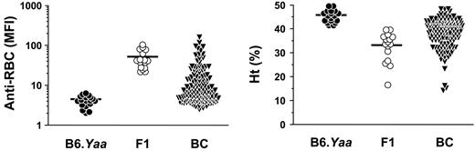 Figure 1. Coombs antibody activities and Ht values in B6.Yaa, (NZB × B6.Yaa)F1, and B6 × (NZB × B6.Yaa)F1 BC male mice. Coombs antibody activities and Ht values were determined at 10 months of age, and results are expressed as MFI for Coombs antibodies and as a percentage for Ht. Mean values are indicated by horizontal lines. Each symbol represents an individual animal of B6.Yaa (n = 18), (NZB × B6.Yaa)F1 (n = 16), and BC Yaa males (n = 144).