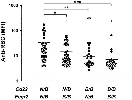 Figure 4. Additive effect of the Aia3 and Nba2 loci on the production of Coombs antibodies in B6 × (NZB × B6.Yaa)F1 BC male mice bearing the Yaa mutation. Coombs antibody activities were determined at 10 months of age. BC mice were subdivided into 4 groups according to genotype combinations at markers Cd22 and Fcgr2, corresponding to the Aia3 and Nba2 loci, respectively. N/B indicates NZB/B6 heterozygous genotype; B/B, B6/B6 homozygous genotypes. Each symbol represents an individual animal in each group: mice heterozygous at both loci (n = 37), mice heterozygous at only Cd22 (n = 40), mice heterozygous at only Fcgr2 (n = 32), and mice homozygous for the B6 alleles at both loci (n = 35). Mean values are indicated by horizontal lines. Significant differences between the groups are shown by asterisks (*P < .01, **P < .005, ***P < .001).