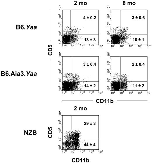 Figure 6. Lack of expansion of B1 cells in B6.Aia3 congenic mice. Peritoneal cavity cells from 2- and 8-month-old B6 and B6.Aia3 Yaa male mice and 2-month-old NZB female mice were stained with a combination of anti-B220, anti-CD5, and anti-CD11b mAb. Representative staining profiles for the CD5 and CD11b on B220+ B cells from the indicated mice (3 to 5 mice in each group) are shown. Mean percentages (±SD) of B1a (CD5+CD11b+) and B1b (CD5–CD11b+) subsets are indicated.