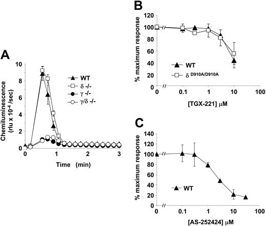Figure 7. Oxidase activity in fMLP-stimulated, TNF-α-primed mouse neutrophils. (A) Bone marrow neutrophils obtained from the indicated strains of mice were prepared in parallel, primed with 500 U/mL TNF-α, and preincubated with luminol and HRP, as described in “Materials and methods.” Cells (3.75 × 105 per well) were stimulated with 10 μM fMLP, and chemiluminescence was recorded using a Berthold MicroLumatPlus luminometer. Incubations were performed in duplicate, and data (mean ± range) from 1 of 2 representative experiments are shown. (B) Experiments were performed as described in panel A except that cells were incubated with the luminol and HRP in the presence of 0 to 30 μM TGX-221. Data represent the accumulated light emission over 3 minutes expressed as a percentage of the value with no inhibitor (mean ± SEM from 3 separate experiments). (C) Wild-type murine neutrophils (5 × 106/point, performed in triplicate) were primed with 500 U/mL TNF-α and preincubated for 5 minutes with 0 to 30 μM AS-252424 before stimulation with 10 μM fMLP. Oxidative burst activity was quantitated by a reduction of cytochrome c. Data represent mean ± SEM from 3 separate experiments.