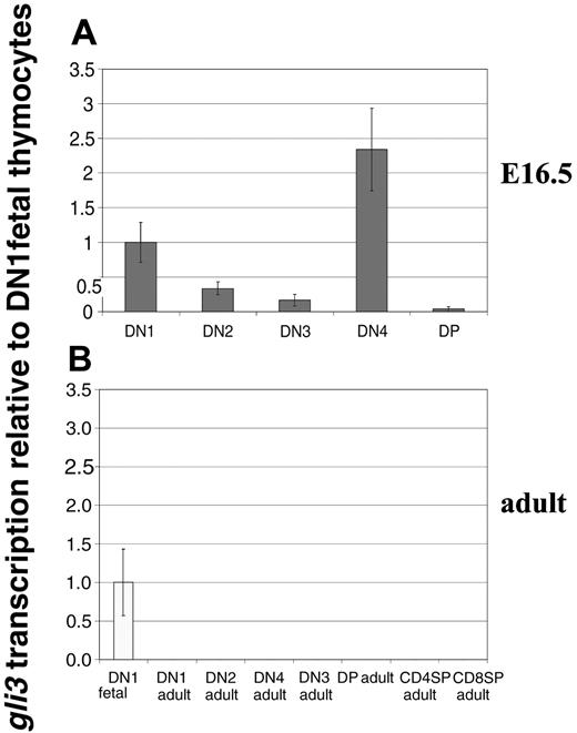 Figure 1. Transcription of Gli3 in fetal and adult thymic subsets. (A) Transcription of Gli3 was assessed by quantitative real-time RT-PCR on RNAs prepared from DN1, DN2, DN3, DN4, and DP thymocyte populations sorted from E16.5 wild-type C57BL/6 fetal thymi. Levels of Gli3 transcription shown are relative to that observed in the DN1 population and normalized for HPRT mRNA content. Maximal expression was seen in the DN4 subset. (B) Transcription of Gli3 was assessed as in panel A on RNAs prepared from adult thymocyte populations sorted from wild-type C57BL/6 mice. Gli3 transcription is absent or below levels of detection in all adult thymocyte populations.