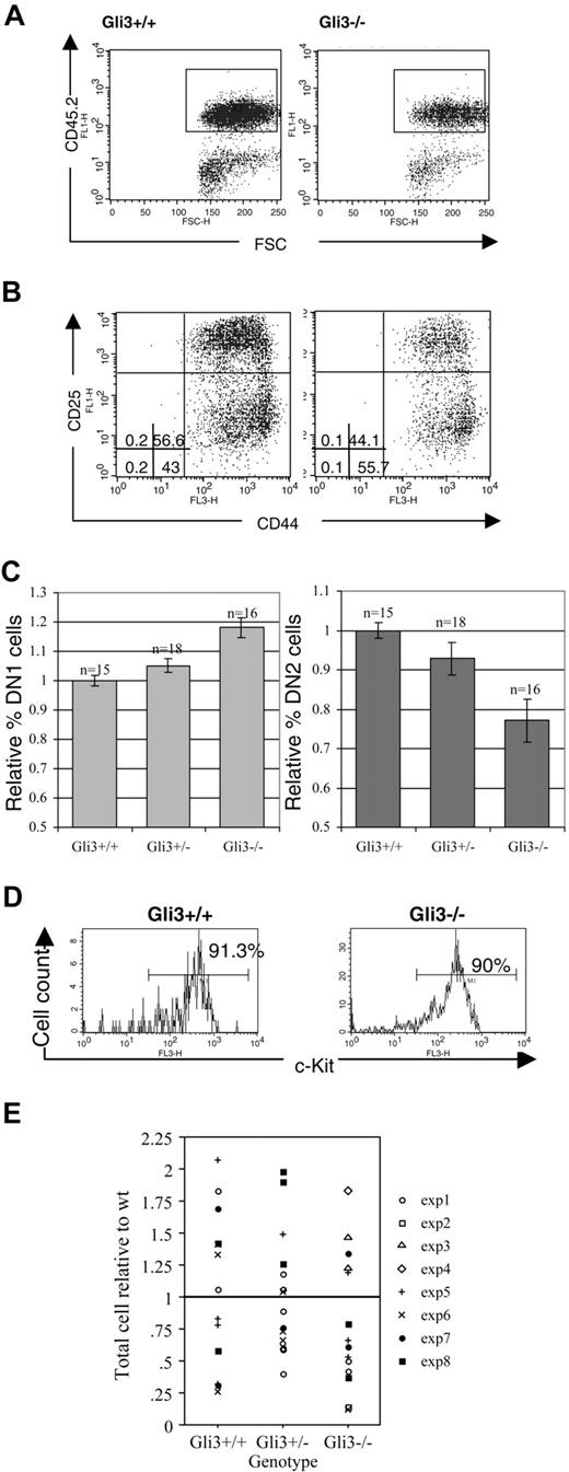 Figure 2. Expression of Gli3 is required for efficient transition from DN1 to DN2 in thymocyte development. (A) E13.5 thymocytes isolated from Gli3+/+ and Gli3–/– mice were gated on positive expression of the hematopoietic lineage-specific marker, CD45.2, to exclude cells of a nonhematopoietic origin from the analysis. (B) DN1 is overrepresented and DN2 underrepresented in E13.5 Gli3–/– mice. CD45.2+ cells were analyzed for expression of CD44 and CD25. The percentages of DN1 to DN4 subsets are shown. Quadrants were defined according to DN subsets in E16.5 wild-type thymus. (C) Data from 8 litters showing the mean relative percentages of DN1 and DN2 cells in Gli3–/–, Gli3+/–, and Gli3+/+ E13.5 embryos, expressed relative to the mean of the Gli3+/+ littermates. Error bars represent standard error of the mean. (D) The c-kit expression was analyzed on E13.5 CD45.2+ thymocytes from Gli3+/+ (left) and Gli3–/– embryos (right). Percentages of CD45.2+c-Kit+ thymocytes are shown. (E) Thymocyte number isolated from E13.5 Gli3+/+, Gli3+/–, and Gli3–/– embryos. There were no significant differences between genotypes.