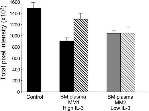Figure 4. OBL inhibition by MM marrow plasma is reversed by anti-IL-3 neutralizing antibody in patients with high IL-3 and unaffected in patients with normal IL-3 in CFU-F cultures. BM stromal-cell cultures were treated with BM plasma from patients with high IL-3 (more than 50 pg/mL; MM1) or normal IL-3 (less than 5 pg/mL; MM2) without (▪) or with (▧) anti-IL-3 mAb (1 μg/mL). After 14 days of culture, ALP staining was performed and quantified by 1D Image Analysis Software (Kodak Digital Science). Data represent the average ± standard deviation of 3 wells for each condition for a typical experiment.