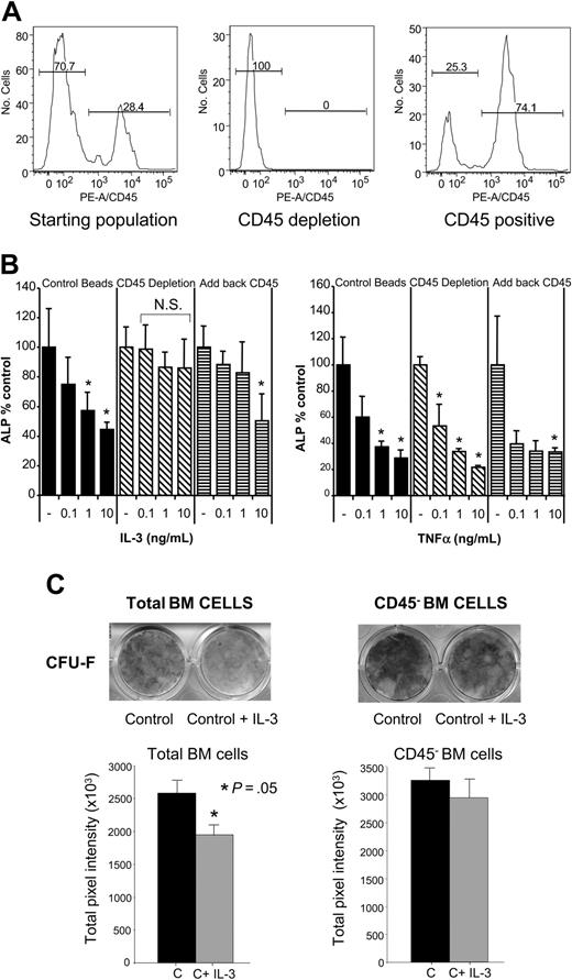 Figure 6. CD45+-cell depletion from primary OBL cultures blocks the inhibitory effects of IL-3. (A) Murine BM was cultured in α-MEM plus 10% FCS media for 8 days as described in “Materials and methods.” These cells were the starting population for further OBL differentiation studies. Flow cytometry analysis shows a PE-CD45- population of approximately 70% and a PE-CD45+ population of 30%. CD45+ cells were then depleted from the total population by magnetic bead depletion as described in “Materials and methods.” The resulting population was essentially 100% CD45- by flow cytometry. The CD45+-enriched population was recovered after depletion and was approximately 25% CD45- and 75% CD45+. (B) The CD45-depleted or reconstituted cell populations or control cells were plated as usual in osteogenic media with varying concentrations of IL-3 or TNF-α (0.1 to 10 ng/mL), and ALP activity was determined as usual after 10 days in culture. ▪ represents cells depleted with a nonspecific IgG primary antibody; ▧, CD45-depleted cells; and ▤, CD45-depleted cultures reconstituted with CD45+ cells. Depleting CD45+ cells results in a cleaner stromal-cell/OBL population, so the ALP level per well was approximately 2 times control antibody depletion. Data are represented as percent of media alone (without IL-3 treatment) for each group and are mean ± standard deviation for 3 wells for each concentration for a typical experiment. Similar results were seen in 2 independent experiments. *P < .05; N.S. indicates not significant. (C) CD45+ cells were depleted from human BM cell cultures by immunomagnetic method using coated anti-CD45 microbeads and treated with IL-3 (20 ng/mL) for the entire culture period. Alkaline phosphatase staining was performed after 14 days and quantified by 1D Image Analysis Software (Kodak Digital Science). CD45+ cell depletion resulted in loss of the IL-3 inhibitory effects in CFU-F cultures. Data represent the average ± standard deviation of 3 wells for each condition for a typical experiment.