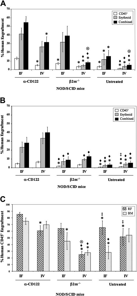 Figure 1. Two-week and 6-week human engraftment from Lin–CD34+CD38+/lo SRCs in the RF and BM of various NOD/SCID mouse models. Lin–CD34+CD38+/lo cells were transplanted into 6 different xenotransplantation models: NOD/SCID-β2m–/– mice (β2m–/–), anti-CD122 (α-CD122)–treated or untreated NOD/SCID mice, each intravenous (IV) or intrafemoral (IF) injection. Percentage of human cell engraftment in the RF (A) or BM (noninjected left femur, 2 tibiae, and pelvis BM; B) of 2-week engrafted mice was determined by flow cytometry. Bars represent myelolymphoid (CD45+; □), erythroid (CD45–CD36+ glycophorin A+; ▦), and the combined total (▪) of the human graft (n = 76 mice from 5 experiments). (C) Percentage of human CD45+ cell engraftment in the RF (▨) and BM (▦) of the 6 xenotransplantation models evaluated at 6 weeks after transplantation (n = 34 mice from 3 experiments). *P < .05 versus α-CD122 IF; ♦, P < .05 versus α-CD122 IV; , P < .05 versus β2m–/–IF; ‡P < .05 versus β2m–/–IV. Error bars represent SEM.