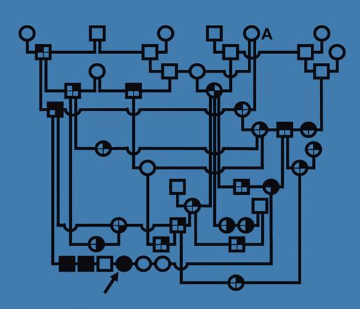 I-GS segregating in an Australian shepherd dog pedigree. See the complete figure in the article beginning on page 1447.