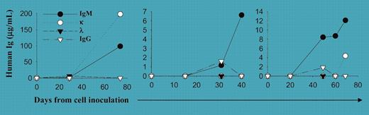 Engraftment of primary patient WM cells in SCID-hu mice. See the complete figure in the article beginning on page 1341.