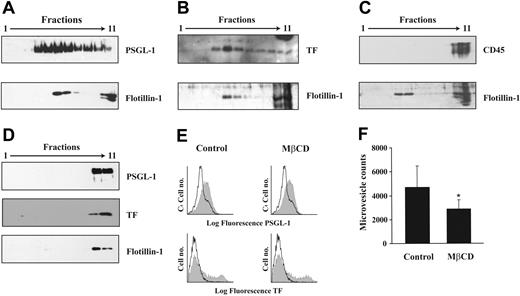 Figure 2. Isolation of lipid rafts from monocytes. Triton X-100 lysates from monocytes were fractionated by centrifugation over a discontinuous sucrose gradient. Eleven equal fractions were obtained and assessed by Western blotting for the presence of (A) PSGL-1, (B) TF, and (C) CD45. Lipid rafts were identified by the presence of the raft-marker, flotillin-1. (D) Effect of membrane cholesterol depletion with MβCD on the localization of PSGL-1 and TF to lipid rafts. (E) As assessed by flow cytometry, cholesterol depletion did not affect the surface expression of PSGL-1 (top panels) or TF (bottom panels) on LPS-treated THP-1 cells. Background fluorescence was set with a fluorescent mouse IgG control (empty histograms). (F) Effect of membrane cholesterol depletion with 5 mM MβCD on the generation of microvesicles induced by calcium ionophore in THP-1 cells. The results shown are representative of 3 separate experiments. Values are shown as mean plus or minus SD. *P = .04 (n = 4).