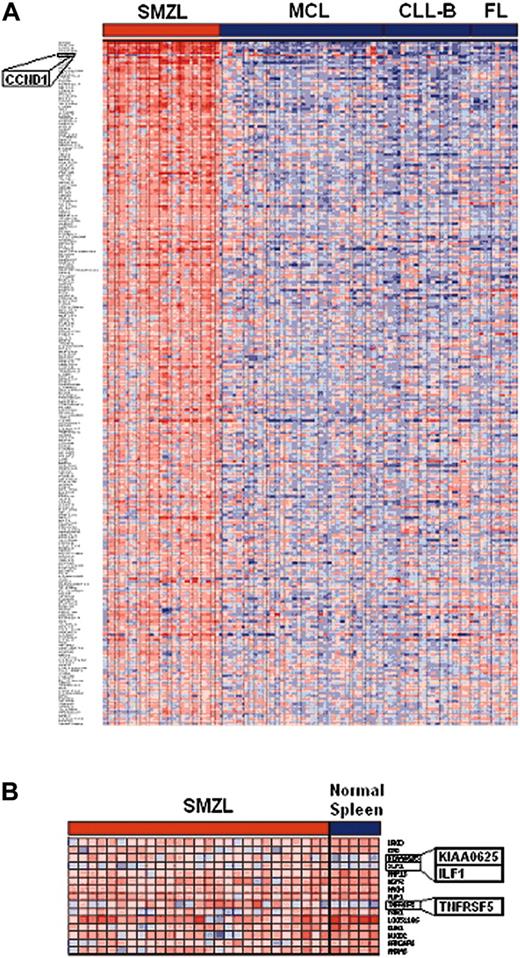 Figure 5. Genes differentially expressed in SMZL and other small B-cell lymphomas (MCL, CLL, FL). Red and blue indicate higher and lower expression, respectively. (A) Panel of 266 genes identified by ANOVA to be up-regulated in SMZL versus other NHLs. (B) Overexpressed genes in SMZL, after normalization with nontumor spleen (FDR < 0.2).