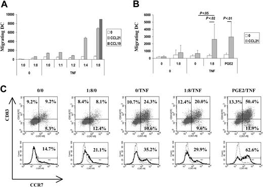 Figure 1. Apoptotic cells induce migration of mature DCs toward the LN chemokines CCL19 and CCL21. Immature DCs were exposed, in 10% autologous complete serum, to apoptotic Jurkat cells for 4 hours before the addition of TNF-α (250 U/mL). Migration capacity of DCs toward CCL19 (300 ng/mL) or CCL21 (250 ng/mL) was tested 2 days later using the Transwell migration assay. (A) Migration of DCs alone (1:0/0) plus TNF-α (1:0/TNF) or treated with apoptotic cells at different DC/ApoC ratios (1:1, 1:2, 1:4, 1:8). Error bars represent the SD of 2 counts. (B) Mean ± SD of 5 to 8 independent experiments. Statistical analyses were performed using the Student t test. PGE2 (1 μg/mL) was added simultaneously with TNF-α. Unless otherwise stated, differences were not significant. The migration difference between no attractant and CCL21 was significant for the condition PGE2/TNF-α (P < .01) and for the condition 1:8/TNF (P < .02). The difference between 1:8/TNF with CCL21 and 0/TNF with CCL21 was significant (P < .05). (C) CD83 and CCR7 co-expression (top) or CCR7 expression (bottom) after 48-hour incubation in various conditions. Experimental conditions and DC/ApoC ratios are similar to those in panels A and B. Histograms are representative of more than 7 experiments. (Top) Percentages of cells in each quadrant are given. (Bottom) Percentages of CCR7-positive cells as defined using isotype control (dashed line) are given.