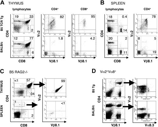 Figure 1. Intrathymic and peripheral expression of Vα2/Vβ8.1 Tg TCR chains and a second Vα chain. Thymocytes (A) or splenocytes (B) from B5 TCR Tg mice or BALB/c were analyzed by flow cytometry for expression of CD4, CD8, Vβ8.1, and Vα2. Expression of CD4 and CD8 on gated lymphocytes within thymus and spleen is shown as well as expression of the transgenic TCR chains on CD4+ cells and CD8+ cells (thymus) and CD4+ cells (spleen). The numbers indicate the percentage of positive cells within the regions shown. Data are representative of 5 experiments. (C) Thymocytes and splenocytes of the B5 TCR Tg mice on RAG2-/- background were stained for CD4, CD8, Vα2, and Vβ8.1, Vβ8.2. Expression of the transgenic TCR is shown on CD4+CD8+ thymocytes and on CD4+ splenic T cells. CD4+ cells in the spleen were stained for Vα2/Vβ8. (D) Splenocytes of B5 TCR Tg and BALB/c control mice were stained for CD4, Vβ8.1. Expression of the transgenic α chain Vα2, as well as another TCR α, Vα8.3 is shown on gated CD4, Vβ8.1 cells. The numbers indicate the percent of positive gated cells. Arrows indicate gate shown in following plot. The data are representative of 3 independent experiments.