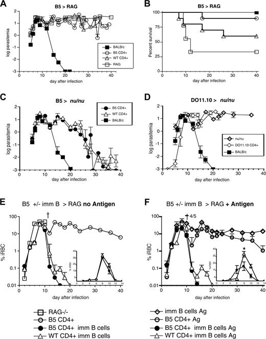 Figure 4. MSP-1 TCR Tg cells protect RAG-/- mice from death and clear P chabaudi parasitemia only when B cells are present. (A) B5 and BALB/c CD4+ cells were purified (> 99%CD4+) by high-speed flow cytometry and transferred into RAG-/- mice, which were then infected with 104 P chabaudi parasites. Parasitemia is shown as percent infected RBCs on a logarithmic (log10) scale. (B) Mortality is shown as percent survival. RAG mice survive significantly better than RAG mice with B5 T cells P < .05 (log-rank test). (C) B5 and BALB/c CD4+ cells were purified by high-speed flow cytometry and transferred into nu/nu mice, which were then infected with 104 P chabaudi parasites. (D) A total of 5 × 106 anti-OVA TCR Tg, DO11.10, CD4+ cells were purified and transferred into nu/nu mice; 50 μg OVA was given at the same time and the mice were infected with 104 P chabaudi. The courses of infection and mortality in BALB/c mice are shown for comparison. The infections shown are the mean parasitemias of 5 to 7 mice and are representative of 2 to 3 independent experiments. Error bars represent SEs of geometric means. (E-F) B5 Tg and BALB/c CD4+ cells were purified (> 99%) by high-speed flow cytometry and transferred into RAG2-/- mice, which were then infected with 104 P chabaudi parasites. (F) Some mice were additionally immunized with the T-cell antigen (MSP1900-1507) covalently linked to a protective B-cell antigen (MSP11658-1746 or MSP121) the day after T-cell transfer and 2 days before infection. Parasitemia is shown on a logarithmic (log10) scale, and data are shown as geometric means of 5 to 8 mice and SEMs. Inset graphs in panels E and F represent the same parasitemia curves on a linear scale to day 14, with maximum of 45% iRBC on y-axis. * indicates significance of P < .05 by the Student t test.