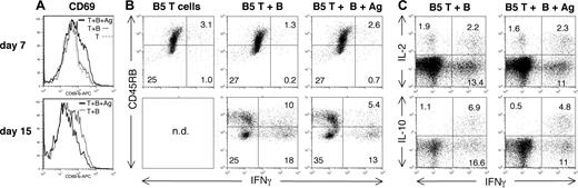 Figure 5. B5 T cells make cytokines to parasite infection in RAG mice. B5 and BALB/c CD4+ cells were purified (> 99% CD4+) by high-speed flow cytometry and transferred into RAG-/- mice, which were then infected with 104 P chabaudi parasites. Some mice were immunized with the T-cell antigen (MSP1900-1507) covalently linked to a protective B-cell antigen (MSP121). (A-C) On days 7 and 15, splenocytes were analyzed by flow cytometry for surface expression of activation markers CD45RB and CD69 and intracellular IFN-γ, IL-2, and IL-10. Cells shown are lymphocyte gated CD4+Vβ8+ B5 T cells. n.d. indicates not determined.