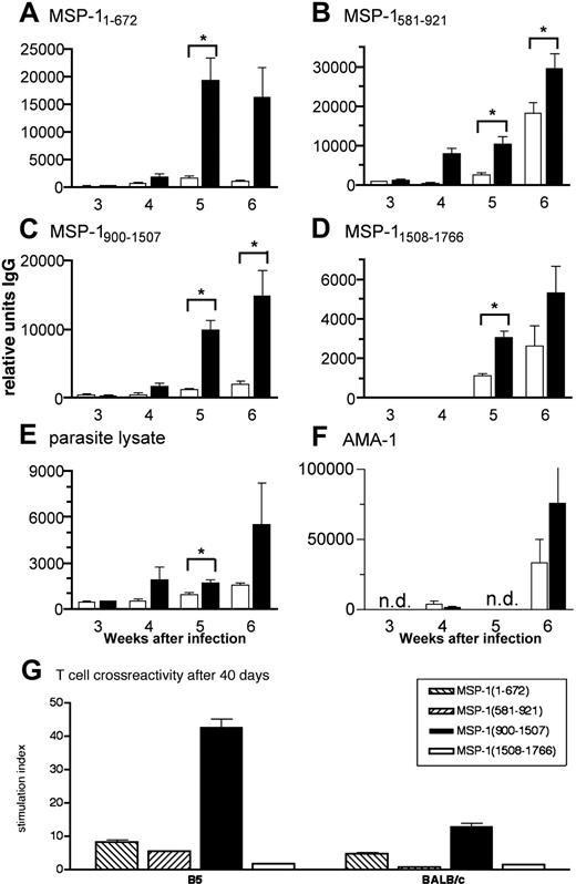 Figure 6. MSP1-specific TCR Tg T cells help B cells produce quicker and greater levels of malaria-specific antibody. (A-F) B5 (▪) and BALB/c CD4+ cells (□) were purified by high-speed flow cytometry and transferred into nu/nu mice, which were then infected with 104 P chabaudi parasites. Antibodies specific for (A) MSP11-672, (B) MSP1581-921, (C) MSP1900-1507, (D) MSP11508-1766, (E) whole parasite lysate, and (F) recombinant AMA-1 were measured in the plasma of samples taken weekly during the course of a P chabaudi infection. Specific IgG antibody is expressed as arbitrary units relative to a standard hyperimmune serum (1000 AU). The values shown are the geometric means and SEs of units of antibody measured in plasma of 5 to 7 mice. The asterisk indicates significant differences (P < .05, Student t test). (G) B5 TCR Tg T cells are still specific to MSP1900-1507 after 40 days of exposure to a P chabaudi infection in vivo. Lymph node cells were taken 6 weeks after infection from nu/nu mice reconstituted with B5 and BALB/c T cells and stimulated with 4 MSP-1 recombinant fragments in vitro (from left to right, MSP11-672, MSP1581-921, MSP1900-1507, and MSP11508-1766). Proliferation was determined by 3H-thymidine incorporation for the last 12 hours of culture.