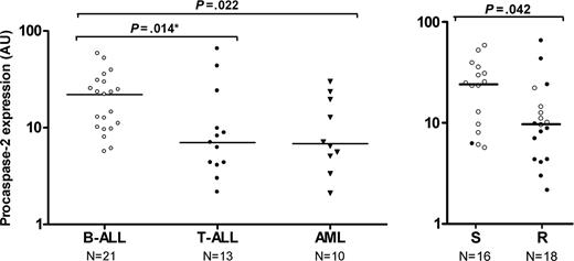 Figure 5. Procaspase-2 expression levels in different types of childhood acute leukemia and in drug-resistant versus -sensitive childhood ALL. (A) Procaspase-2 expression in different types of childhood acute leukemia. Each dot represents an individual patient and the horizontal bar represents the median protein level. Protein expression level of procaspase-2 quantitated in 21 B-lineage ALL samples (○), 13 T-lineage ALL samples (•), and 10 AML samples (▾). (B) Procaspase-2 expression versus in vitro PRED, VCR, and ASP (PVA) resistance in childhood acute lymphoblastic leukemia. The protein expression level of PARP quantitated in 16 PVA-sensitive (S) and 18 PVA-resistant (R) patients with B-lineage ALL (○) or T-lineage ALL (•). *Statistically significant after Bonferroni correction for multiple comparisons.