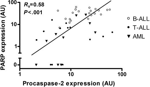 Figure 6. Correlation between PARP and procaspase-2 protein levels in newly diagnosed childhood acute leukemia. Comparison between PARP and procaspase-2 protein expression levels in 21 B-lineage ALL samples (○), 13 T-lineage ALL samples (•), and 10 AML samples (▾). Diagonal line indicates line of best fit.