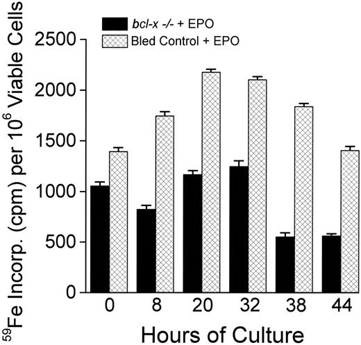 Figure 5. 59Fe incorporation into heme by cultured erythroblasts from conditional bcl-x-/- mice and bled controls. At the indicated times, 59Fe-transferrin was added to quadruplicate cultures of erythroblasts from conditional bcl-x-/- mice or from bled control mice. After 2 hours of further incubation, incorporation of 59Fe into heme was quantified for each labeled culture and presented as counts per minute per 106 viable cells. Data are mean ± SEM of the quadruplicate cultures. The experiment shown is representative of 2 complete time-course experiments with 2 sets of erythroblast populations from conditional bcl-x-/- and bled control mice. For each of the 6 time points in the 2 independent experiments, the cells from bled controls incorporated significantly more 59Fe into heme per 106 viable cells than the bcl-x-/- erythroblasts.